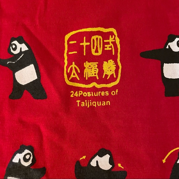 Tai Chi Panda T Shirt - Picture 3 of 10